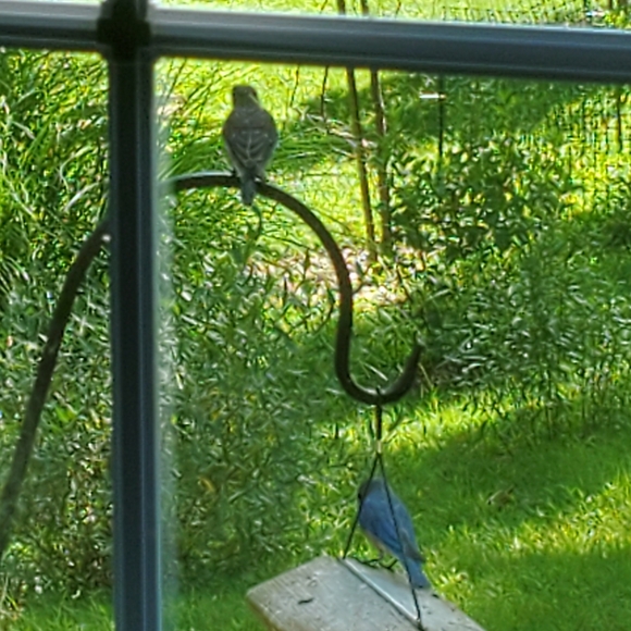 Meet your Posher, Teresa - Picture 12 of 16